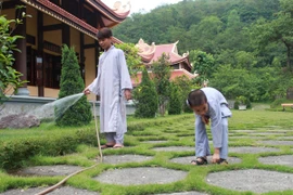 Dưỡng tính thiện trong mùa hè tu tập