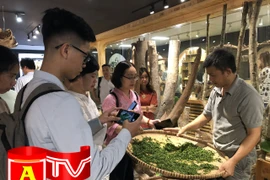 “Mục sở thị” bí quyết sao trà xanh thủ công bằng tay giữa thủ đô