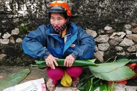 Cận Tết, giá lá dong cao ngất ngưởng vì "cháy" hàng