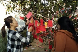 Dân vùng biển hồ hởi đi chùa cầu an đầu xuân