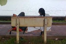 Tình tự ở công viên, đôi nam nữ bị kẻ gian áp sát "cuỗm" túi xách