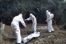 Gánh nặng khủng khiếp mà bệnh nhân Ebola sống sót phải đối mặt