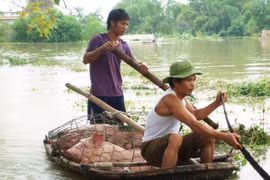 Dự báo thời tiết thiếu chính xác vì mô hình quá cũ