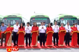 Khai trương tuyến xe bus số 84 và số 85