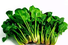 Trẻ hóa não nhờ cải bó xôi