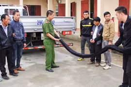  Phá chuyên án vận chuyển ma túy bằng đường biển