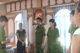 Khởi tố nữ giám đốc công ty trốn thuế, giấu doanh số bán hàng hơn 73 tỷ đồng