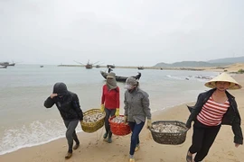 Một mình ông Võ Kim Cự không thể cấp phép được cho Formosa