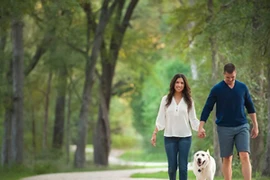 Đi bộ trong không gian xanh giảm huyết áp