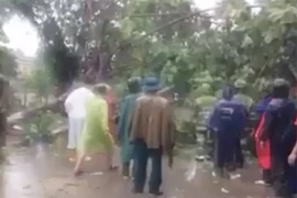 Chung sức cứu người đang đi bất ngờ bị cây đổ trúng trong mưa bão