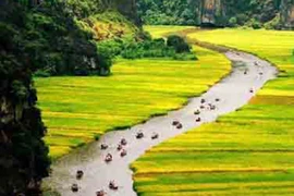 Tháng Giêng ta đi hội