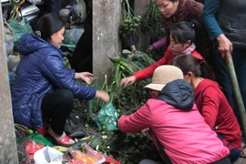 Bồi hồi chợ quê những ngày cuối năm