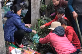 Bồi hồi chợ quê những ngày cuối năm