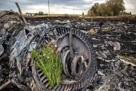 Ukraine nhận trách nhiệm tìm kiếm thi thể còn sót tại hiện trường MH17