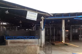 TP.HCM: Sớm đóng cửa các lò mổ thủ công