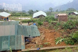 Quảng Nam: Sạt lở trong đêm, 3 nhà dân bị vùi lấp