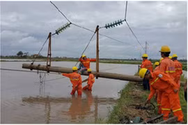 Sau bão số 1: Hệ thống điện mới được hơn 90%