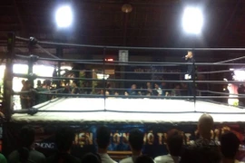 Đình chỉ giải võ thuật trái phép của diễn viên Jonny Trí Nguyễn