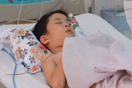 Chọc tổ ong, 2 học sinh bị đốt ngất xỉu