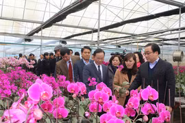 Hà Nội sẵn sàng hỗ trợ đầu tư, tiêu thụ nông sản Sơn La