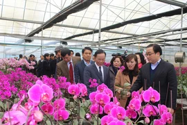 Hà Nội sẵn sàng hỗ trợ đầu tư, tiêu thụ nông sản Sơn La