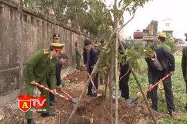 CAH Phú Xuyên phát động Tết trồng cây