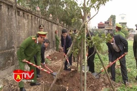 CAH Phú Xuyên phát động Tết trồng cây