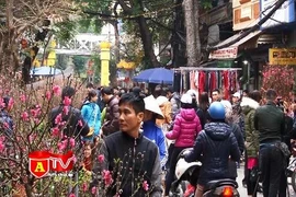 Thủ đô yên bình đón Tết