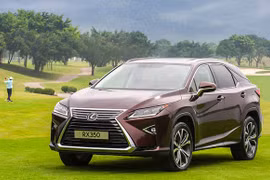 1 tuần, Lexus Việt Nam trình làng 2 mẫu xe tiền tỷ