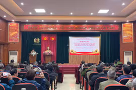 Phát động phong trào toàn dân tham gia cao điểm tấn công, trấn áp tội phạm