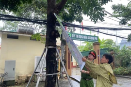 Xã Tây Phương ra quân chỉnh trang trật tự đô thị và nông thôn