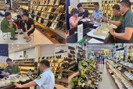 Khởi tố, bắt giam đối tượng cầm đầu đường dây buôn lậu