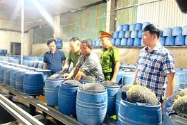 Phát hiện 2 cơ sở dùng hóa chất độc hại để sản xuất hàng trăm tấn giá đỗ