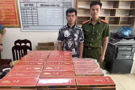 Ngụy trang thuốc lá nhập lậu trong các thùng hàng đi tiêu thụ