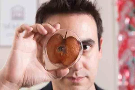 Nuôi tai người từ táo