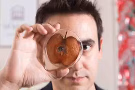 Nuôi tai người từ táo