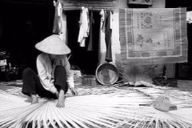 "Bàn tay khâu lá"