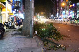  Cành cổ thụ rơi trúng hai vợ chồng đi xe máy