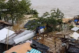 Nông nghiệp Philippines thiệt hại gần 62 triệu USD vì bão Sarika