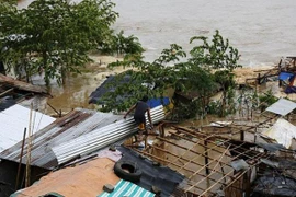 Nông nghiệp Philippines thiệt hại gần 62 triệu USD vì bão Sarika