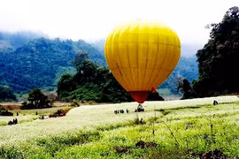 Mộc Châu tổ chức lễ hội khinh khí cầu