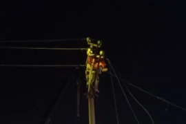 Đảo Cát Bà mất điện vì tàu hàng va chạm với đường dây 35kV 