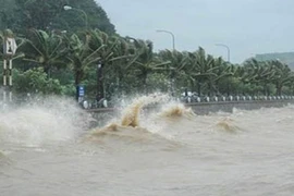 Còn 14 thành phố, thị xã, huyện vẫn mất điện do bão số 3