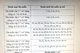 Sẽ đấu giá tên miền quốc gia “.vn”