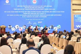 Kinh tế Việt Nam vẫn đủ khả năng chống chịu trong đại dịch