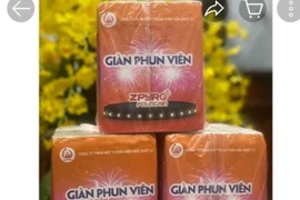 Loạn giá pháo hoa của nhà máy Z121