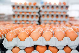 Nhập 84.000 tấn muối và gần 800.000 trứng gia cầm trong năm nay