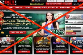 Thêm hơn 900 website vi phạm năm 2024, đề nghị không quảng cáo