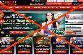 Thêm hơn 900 website vi phạm năm 2024, đề nghị không quảng cáo