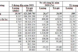 Nhập khẩu hơn 18,3 nghìn chiếc ô tô trong 2 tháng